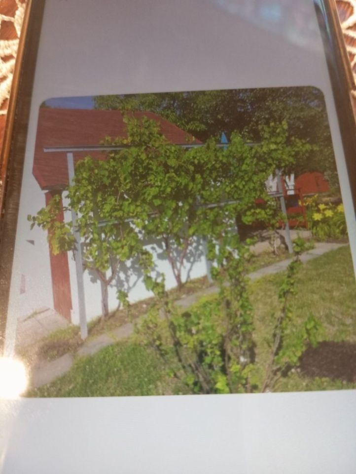 Działka rod Rogówko. Zdjęcie 4