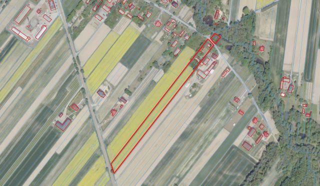 Działka siedliskowa Kępa Borzechowska. Zdjęcie 1