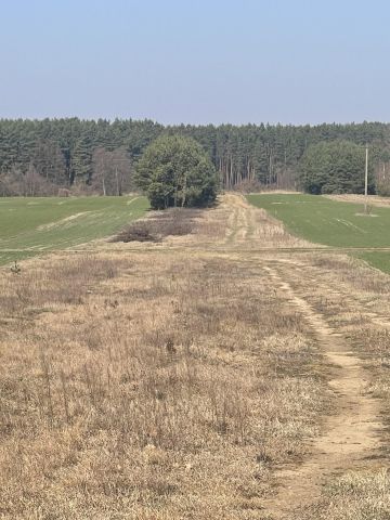 Działka rolno-budowlana Zadobrze. Zdjęcie 1