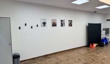 Lokal Szczecin Centrum, ul. Księcia Świętopełka