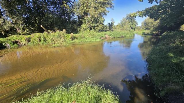 Działka rekreacyjna Doleck. Zdjęcie 4