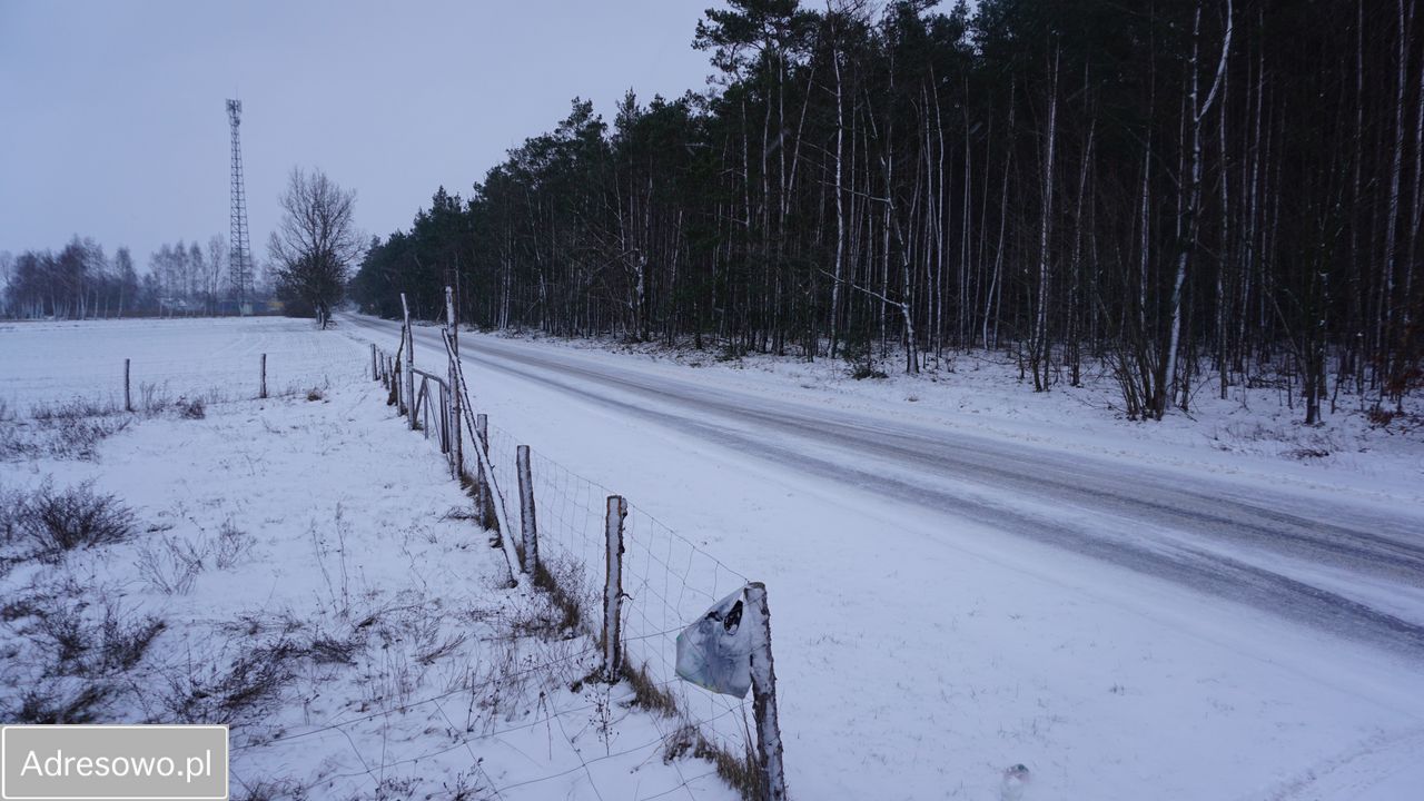 Działka budowlana Barłogi. Zdjęcie 12