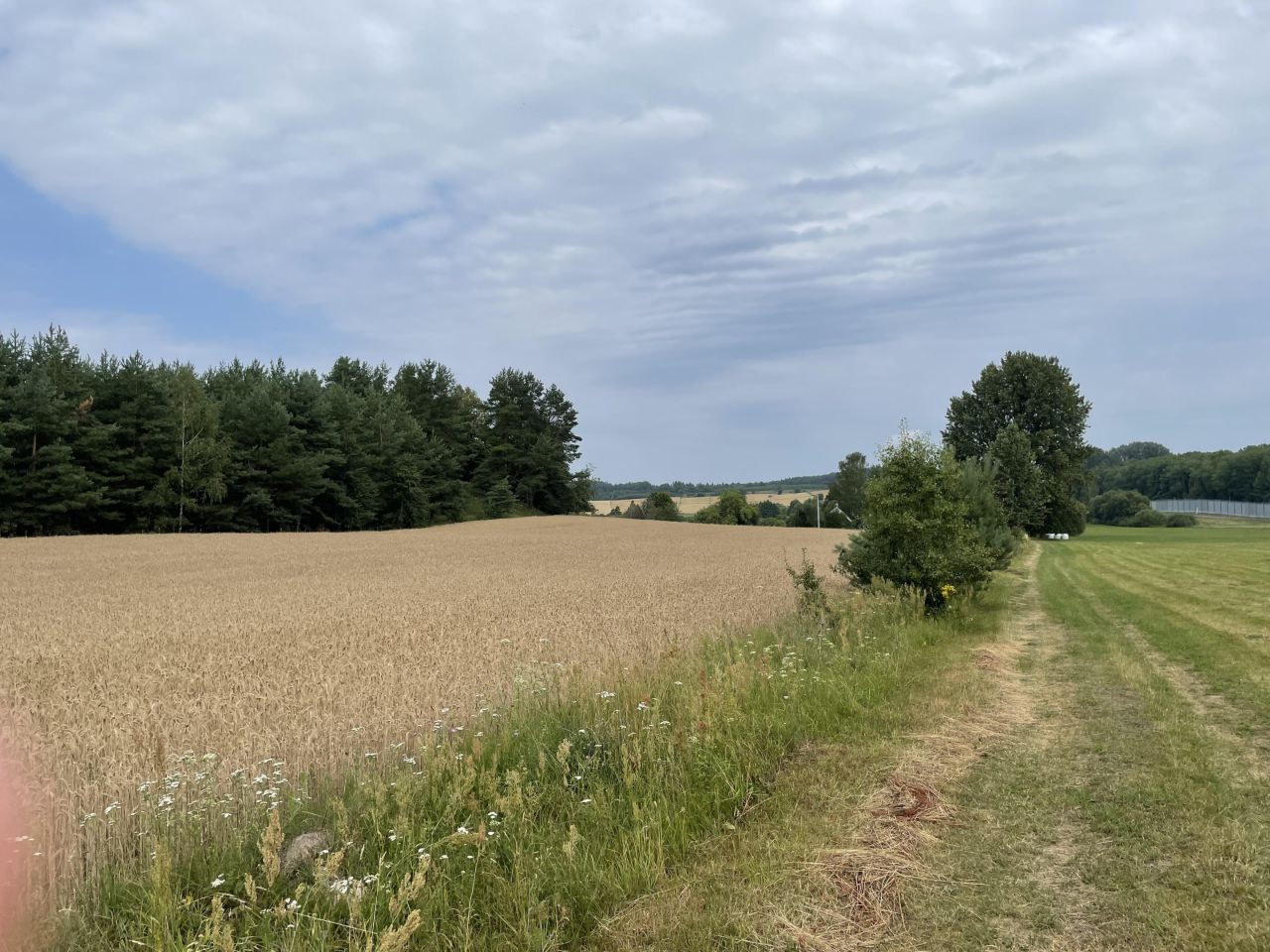 Działka rolno-budowlana Kopczany. Zdjęcie 11