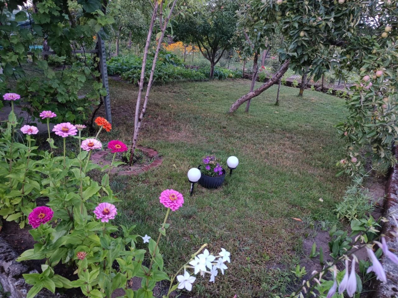 Działka rod Koronowo. Zdjęcie 4