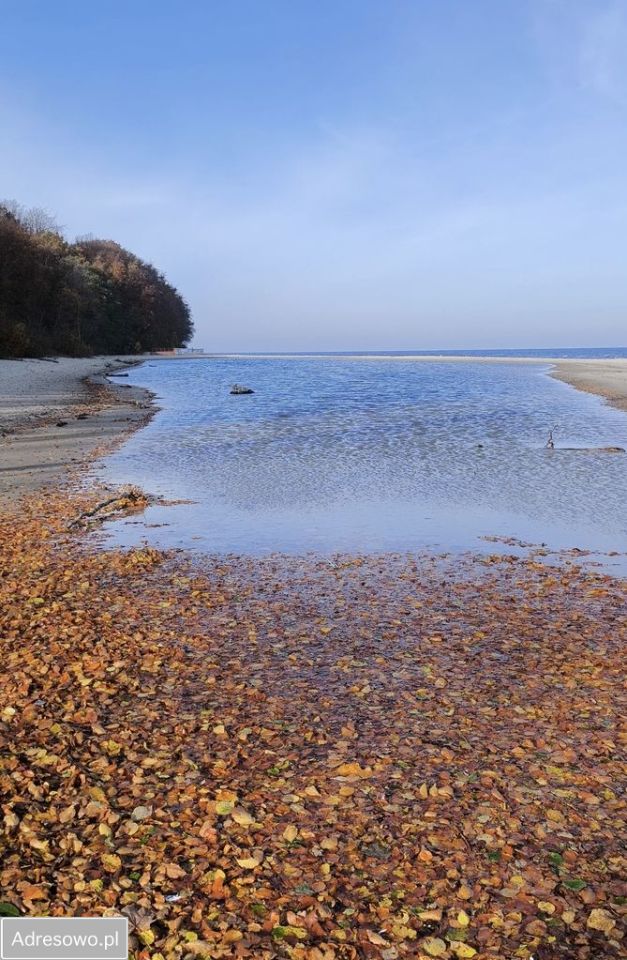 bliźniak, 4 pokoje Mieroszyno. Zdjęcie 6