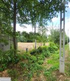 Działka budowlana Krupia Wólka, ul. Główna. Zdjęcie 1