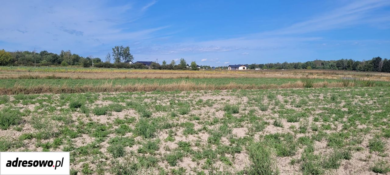 Działka rolno-budowlana Janików. Zdjęcie 7