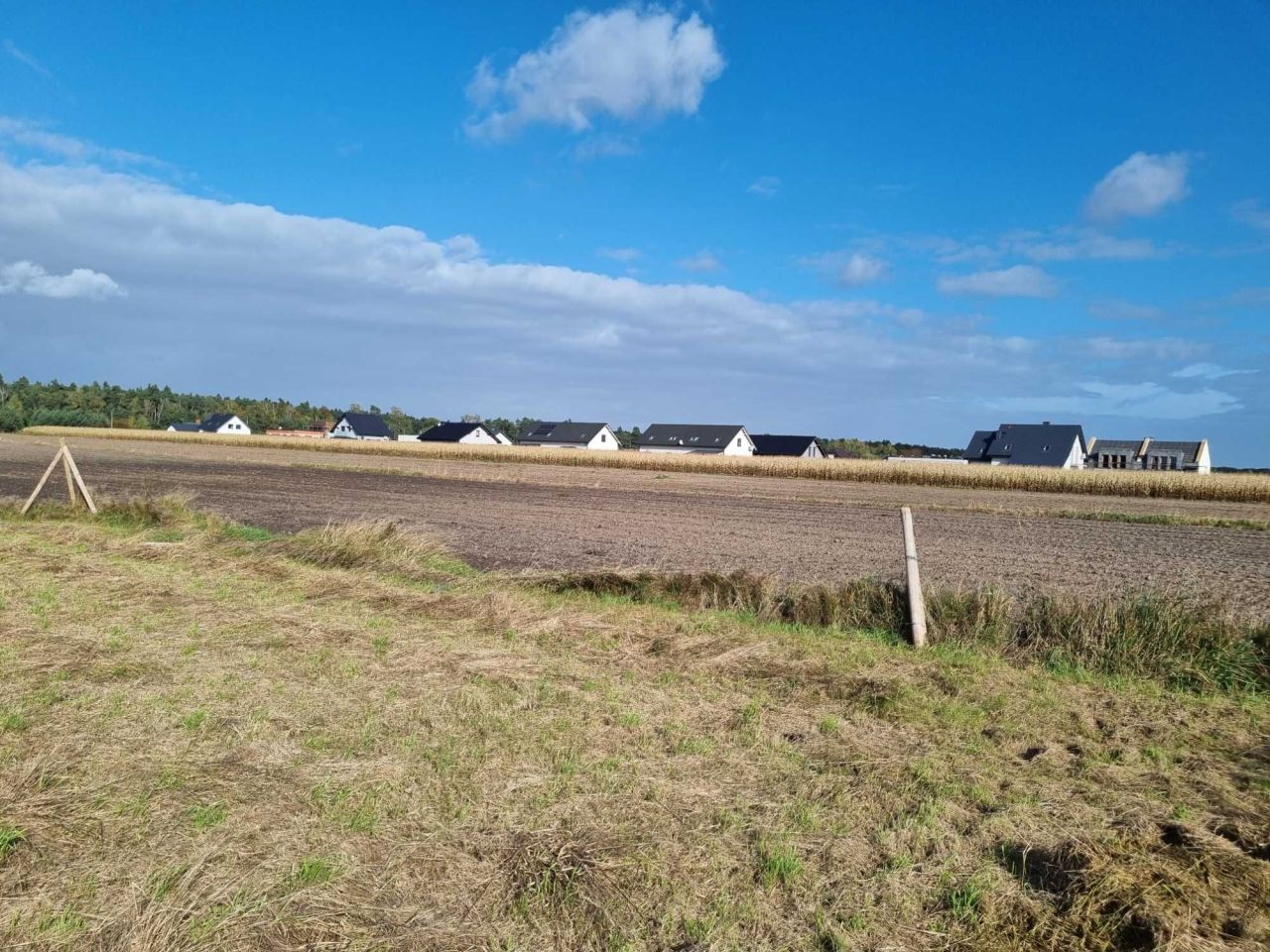 Działka budowlana Bachorzew. Zdjęcie 4