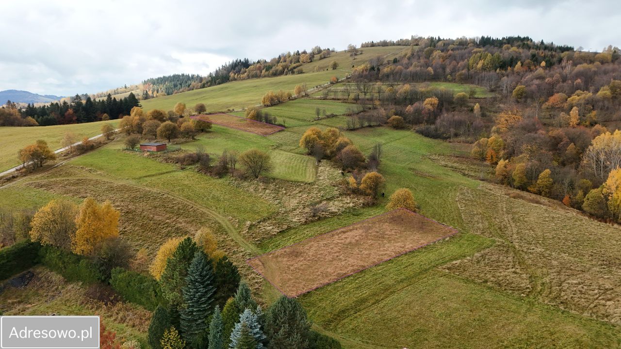 Działka rolno-budowlana Zwardoń Myto. Zdjęcie 7