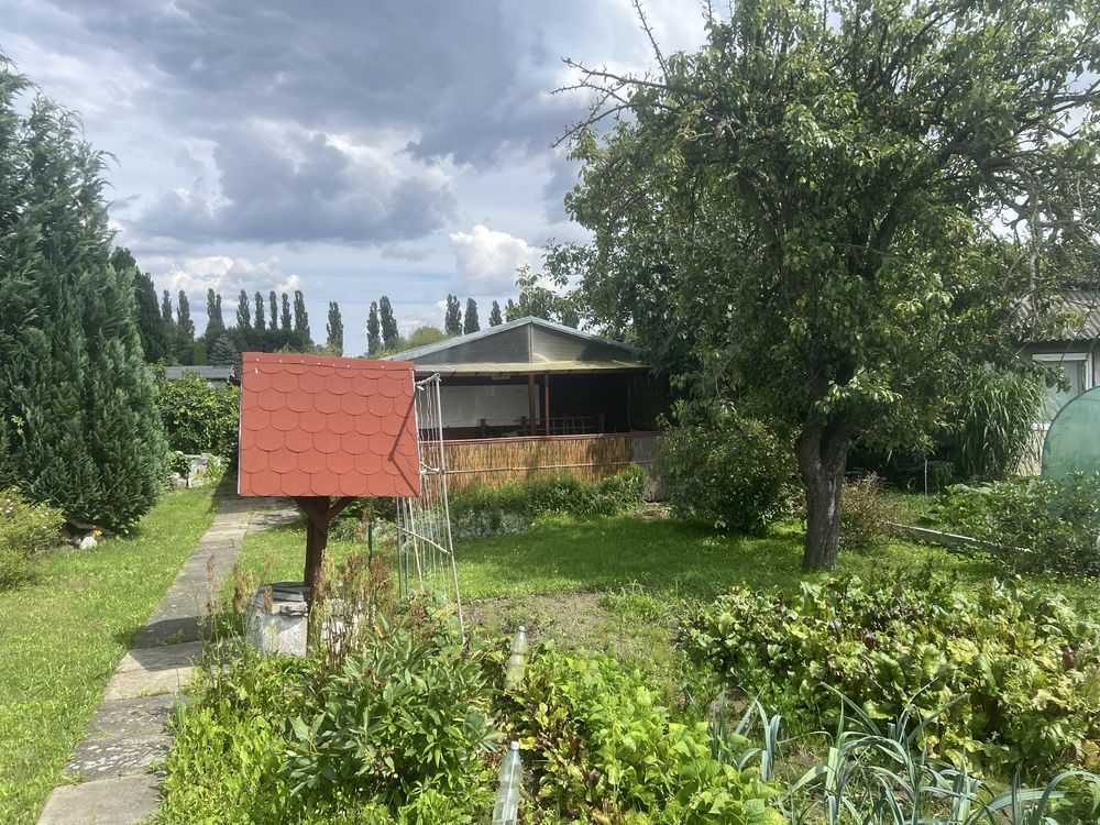 Działka rod Tczew. Zdjęcie 6