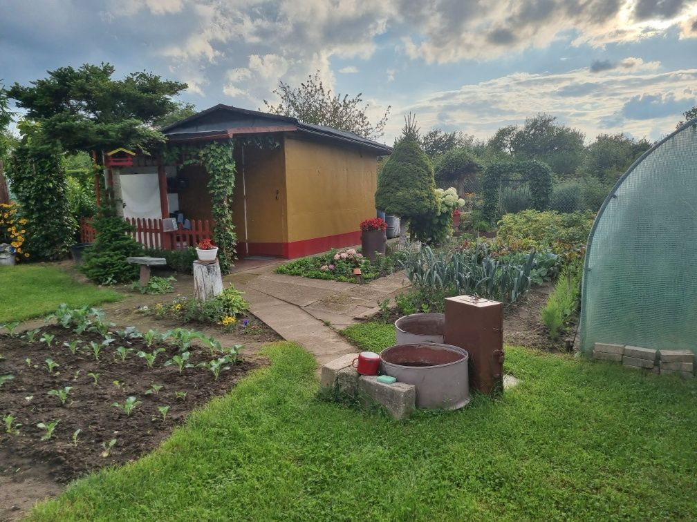 Działka rod Żagań. Zdjęcie 1