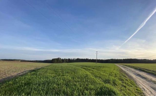 Działka rolno-budowlana Rajkowy. Zdjęcie 1