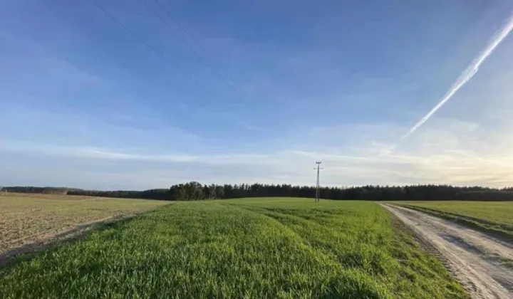 Działka rolno-budowlana Rajkowy