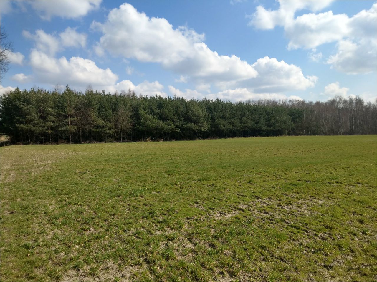 Działka budowlana Rudzienko. Zdjęcie 3