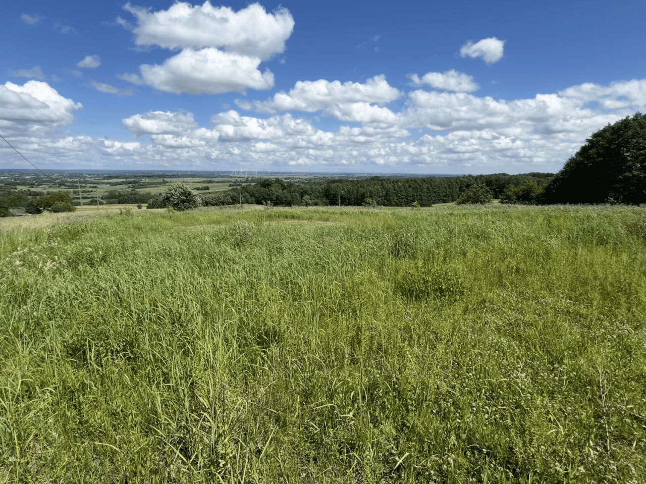 Działka budowlana Handzlówka Ślebodówka. Zdjęcie 1