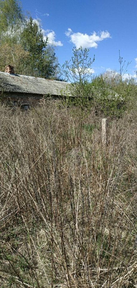 siedlisko, 3 pokoje Wólka Sulejowska. Zdjęcie 7