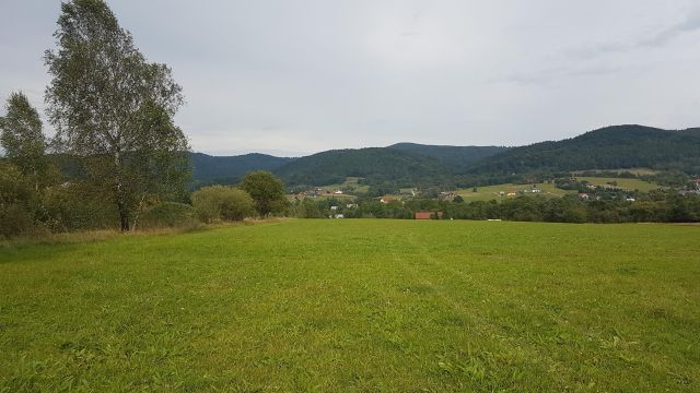 Działka rolno-budowlana Haczów Miasteczko. Zdjęcie 1