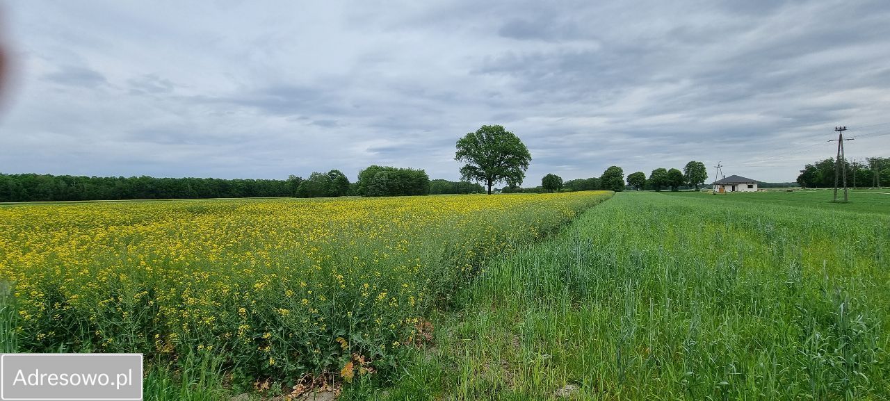 Działka rolno-budowlana Jadwinów. Zdjęcie 3