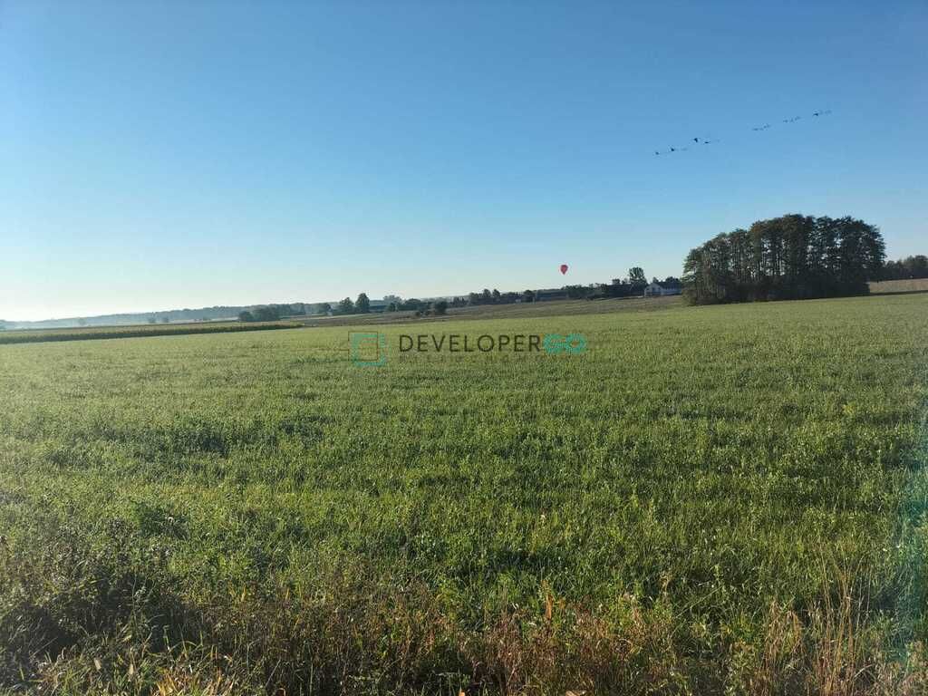 Działka budowlana Kurowo-Kolonia. Zdjęcie 8