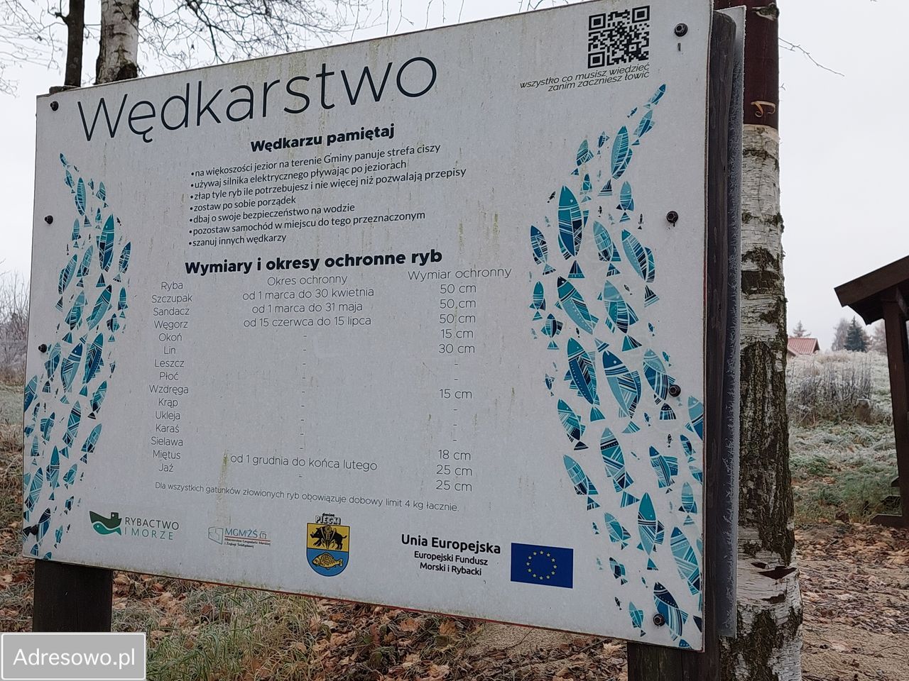 dom wolnostojący, 9 pokoi Mojtyny. Zdjęcie 20