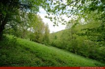 Działka budowlana Konradów, Konradów