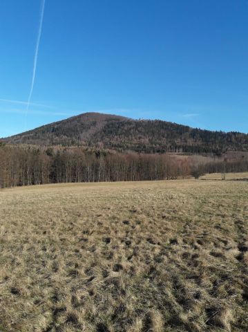 Działka rolna Wilkanów. Zdjęcie 1