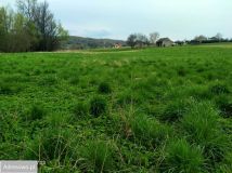 Działka rolna Chmielnik. Zdjęcie 1