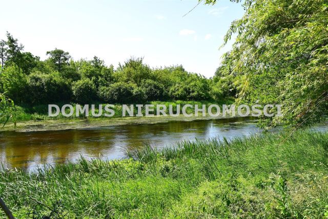 Działka rolna Królewo. Zdjęcie 9