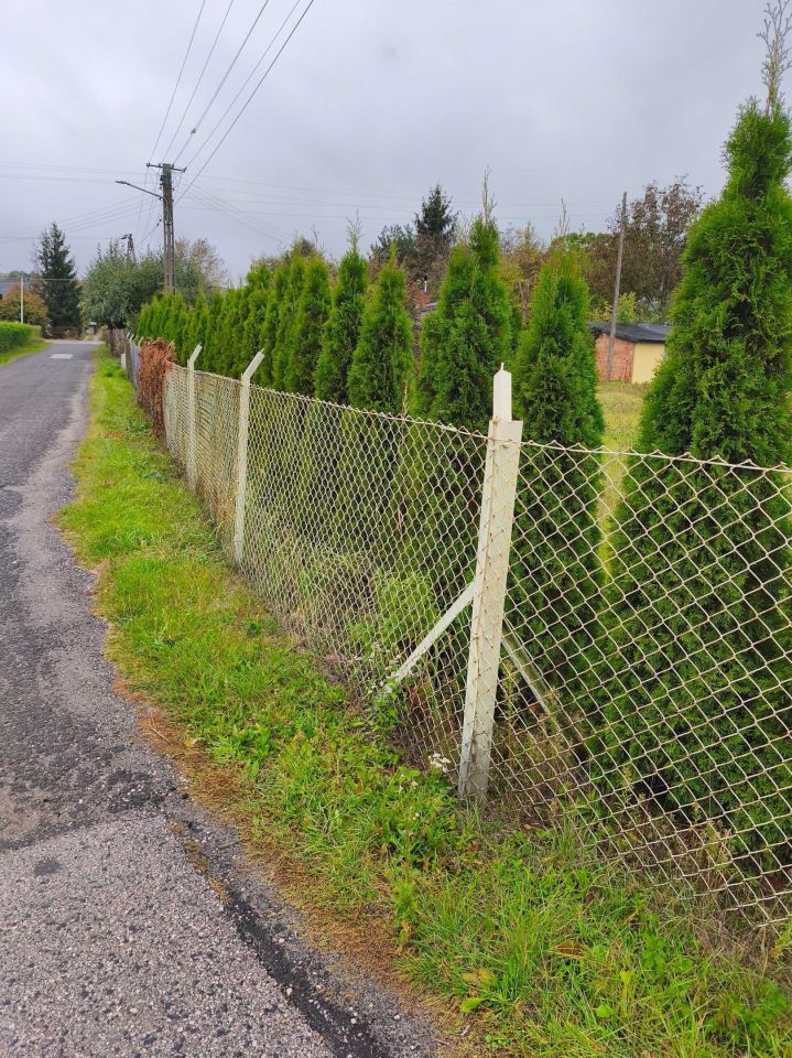 Działka budowlana Jesionka, ul. Spacerowa. Zdjęcie 5