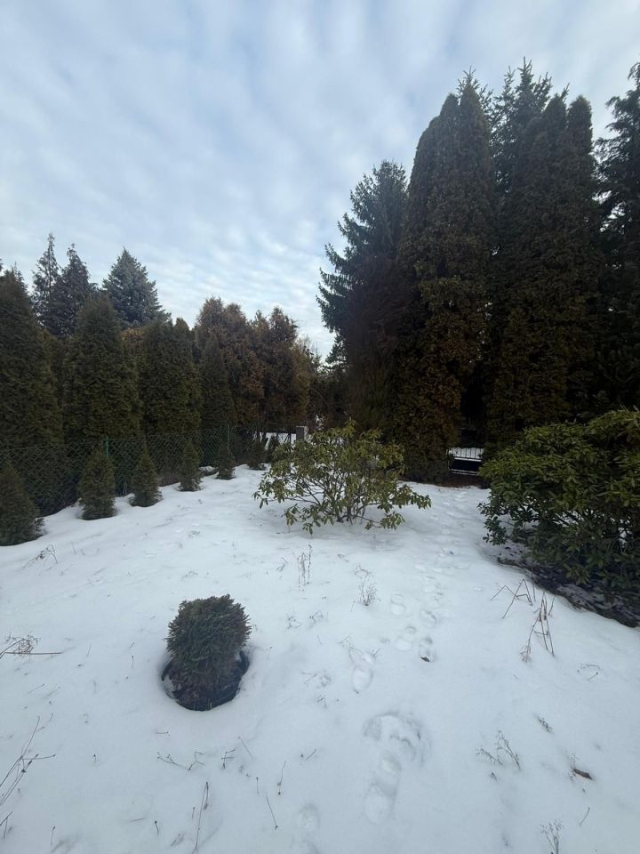 Działka rod Grodzisk Mazowiecki. Zdjęcie 6