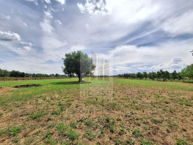 dom wolnostojący, 4 pokoje Kuźnica Dąbrowska. Zdjęcie 12