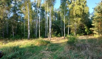 Działka leśna Brzezinki