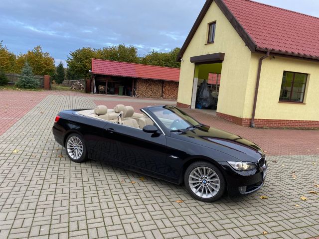 siedlisko Najdymowo. Zdjęcie 22