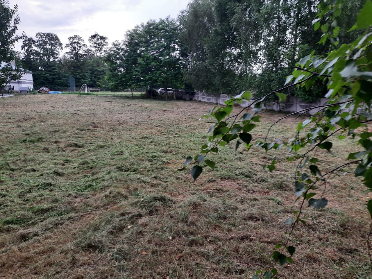 Działka siedliskowa Lewiczyn. Zdjęcie 5