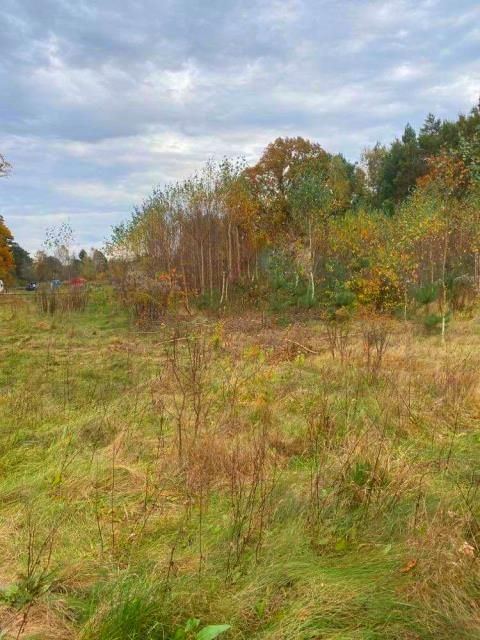 Działka budowlana Owczarnia. Zdjęcie 3