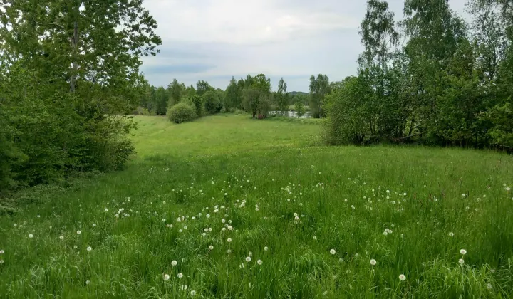 Działka rolno-budowlana Gowidlino Kawle, ul. Łąkowa