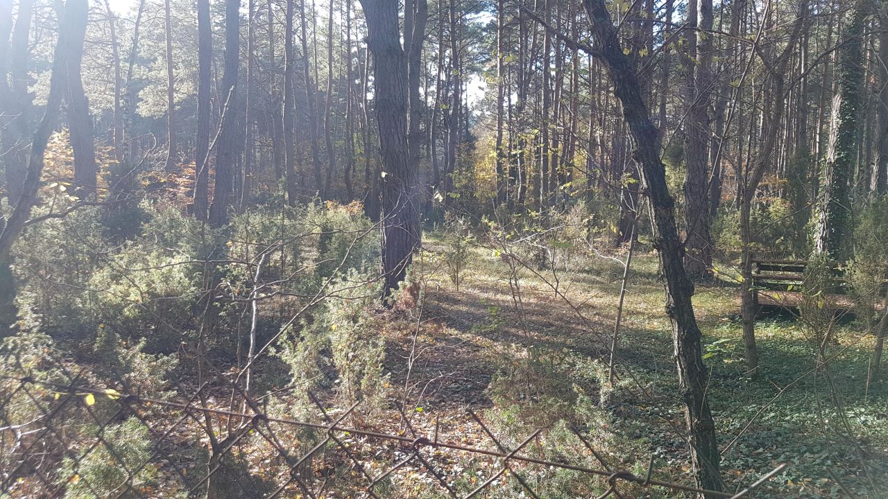 Działka budowlana Radzymin Rejentówka, ul. Zygmunta Wróblewskiego. Zdjęcie 3