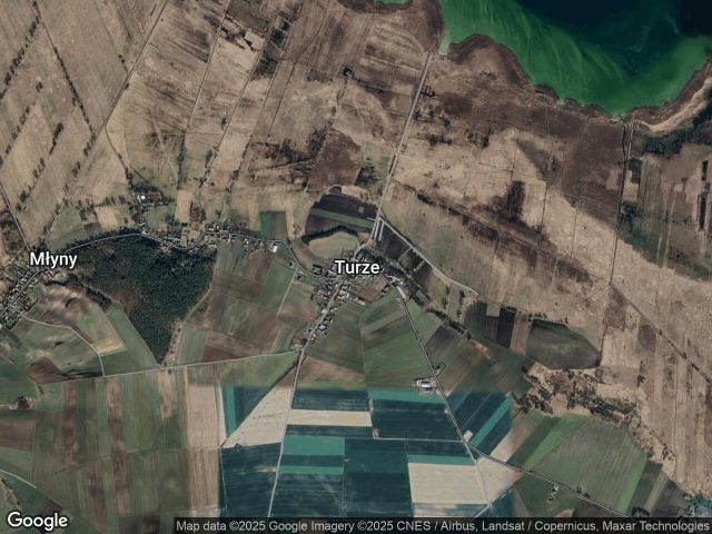 Działka rolna Turze. Zdjęcie 1