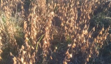 Działka budowlana Wielopole Skrzyńskie