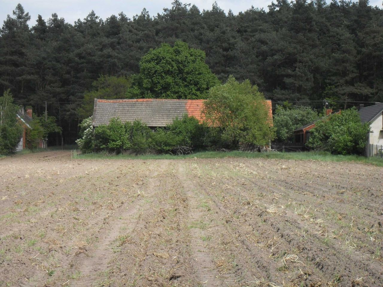 Działka siedliskowa Ługi. Zdjęcie 3