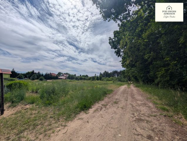 Działka budowlana Wałdowo Królewskie. Zdjęcie 7