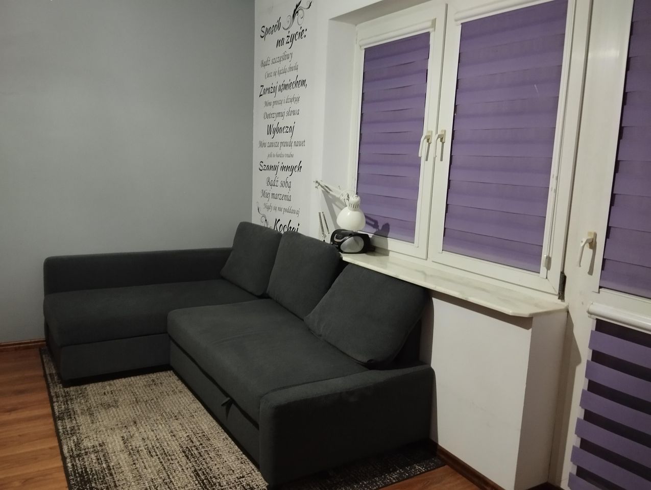 dom wolnostojący, 7 pokoi Iława, ul. Radomska. Zdjęcie 5