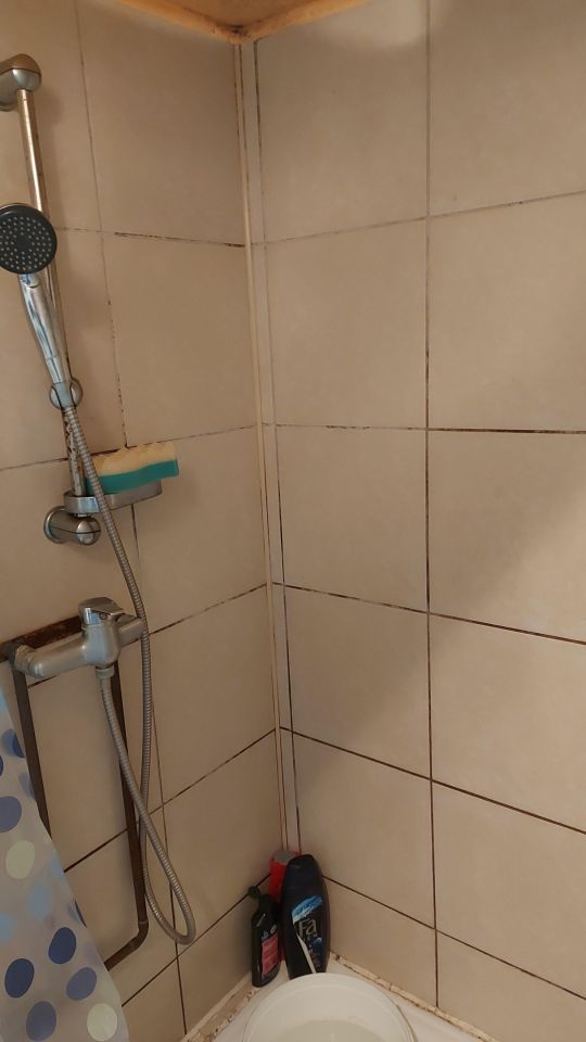 Działka rod Koźlice. Zdjęcie 4