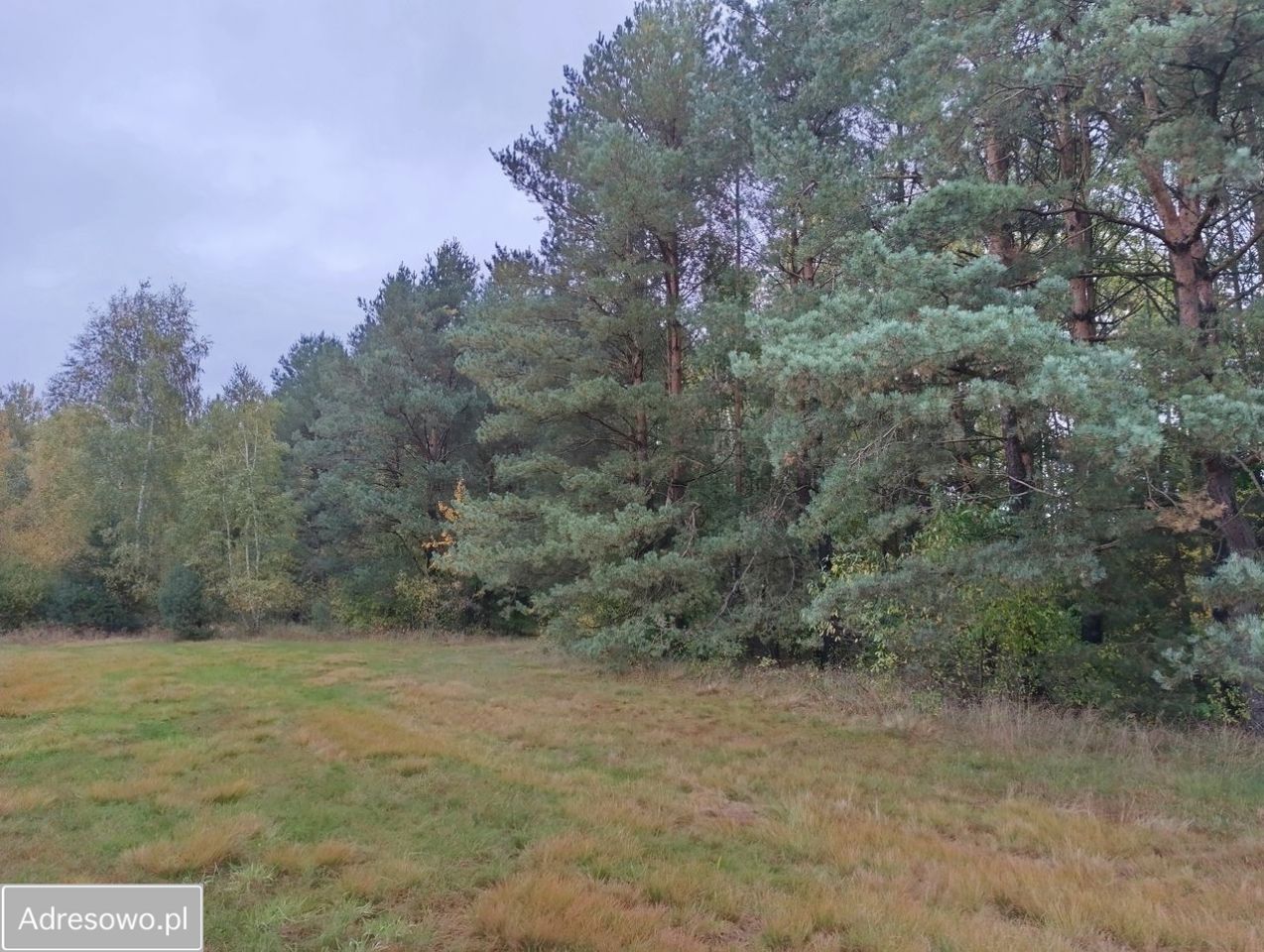 Działka budowlana Piaski. Zdjęcie 6