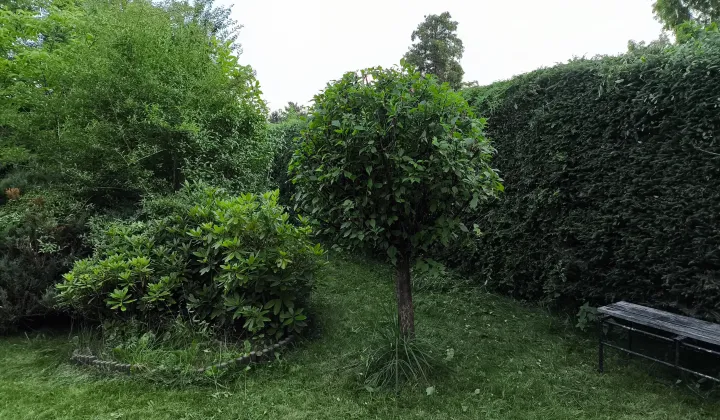 Działka rod Słomin, Wierzbowa 2