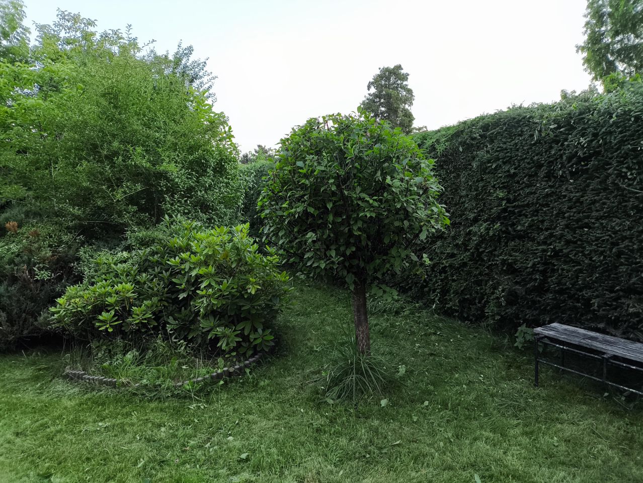 Działka rod Słomin, Wierzbowa 2. Zdjęcie 1