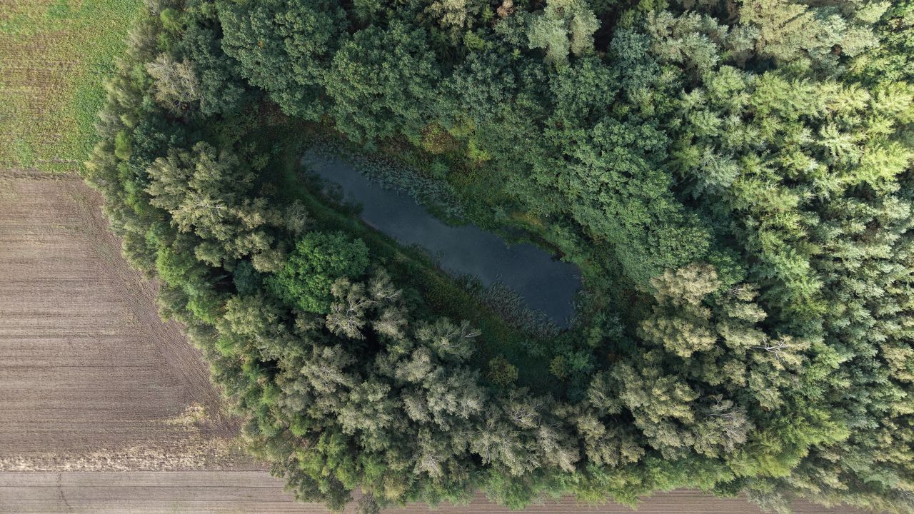 Działka inwestycyjna Kiczarowo. Zdjęcie 7