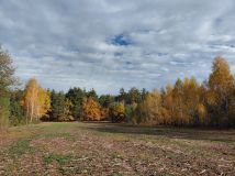 Działka inwestycyjna Trzcinka. Zdjęcie 2