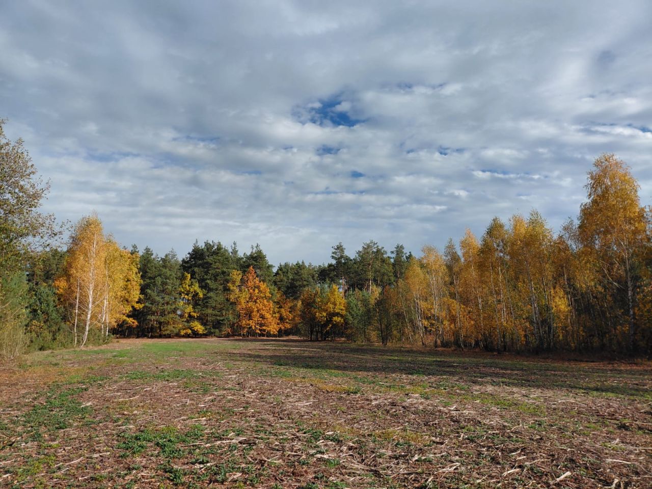 Działka inwestycyjna Trzcinka. Zdjęcie 3