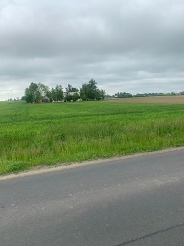 Działka rolno-budowlana Niemojewo. Zdjęcie 1